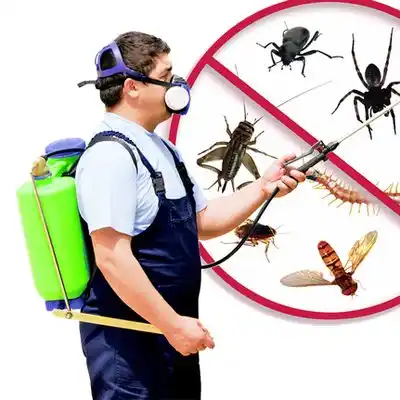 pest control Biloxi
